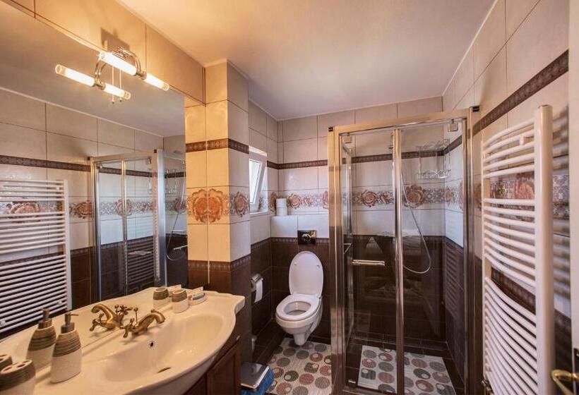 Номер Стандарт, Pensiunea Cretuca