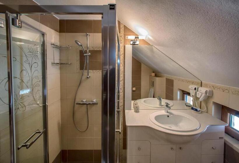 Номер Стандарт Трехместный, Pensiunea Cretuca