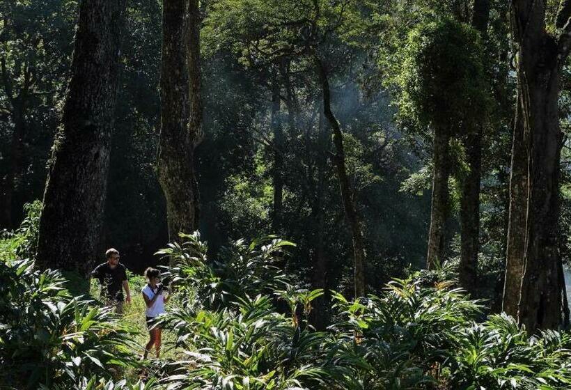 Cabanya, Olive Brook