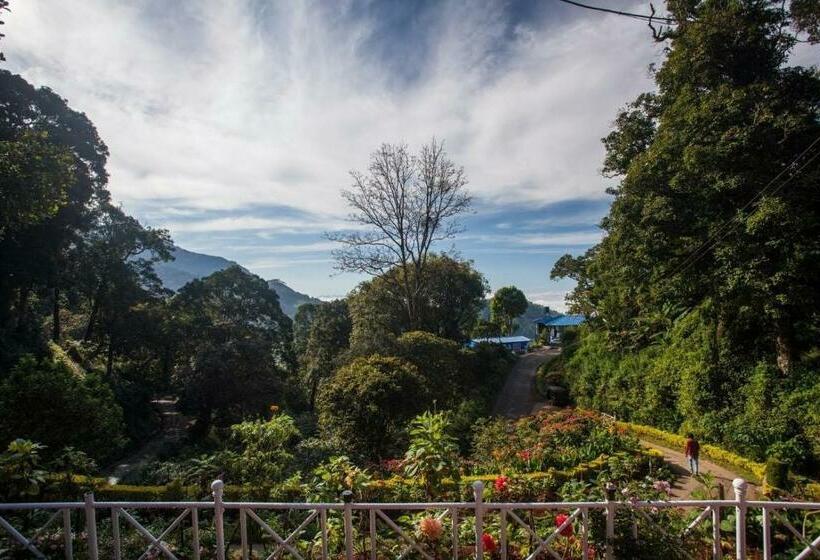 Cabanya, Olive Brook