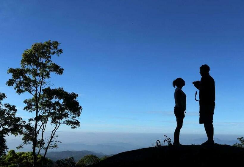 Cabanya, Olive Brook