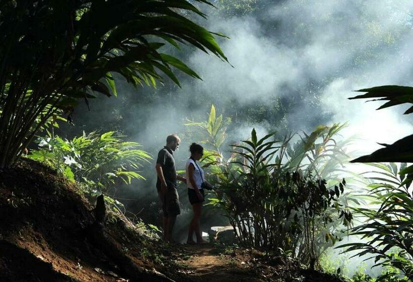 Cabanya, Olive Brook