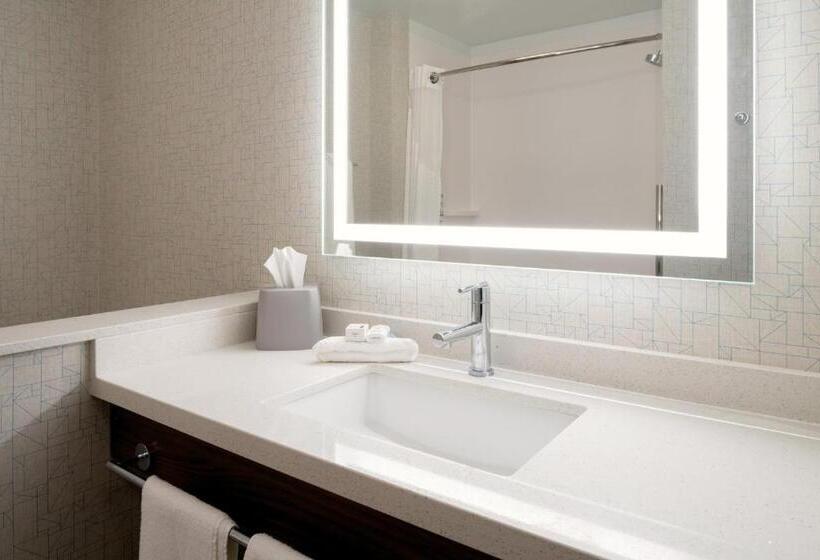 Номер Стандарт Кровать Кинг Адаптированный для Инвалидов, Holiday Inn Express & Suites   Bullhead City , An Ihg