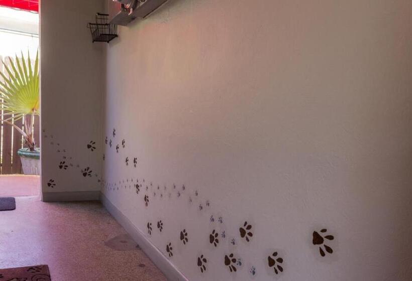 エコノミールーム, Richard's Pet Friendly Motel