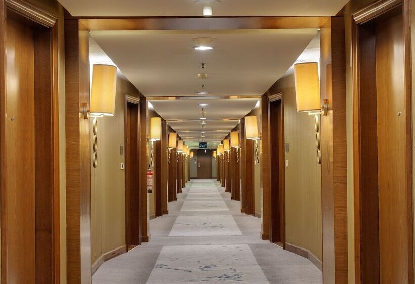 디럭스 룸, Aryaduta Medan