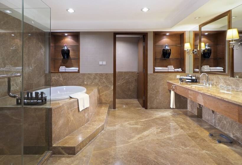 프레지덴셜 스위트, Aryaduta Medan