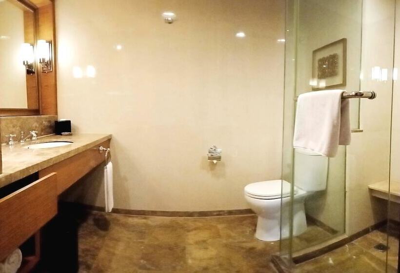 디럭스 룸, Aryaduta Medan