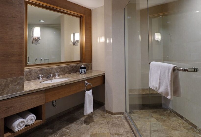 이그제큐티브 스위트, Aryaduta Medan