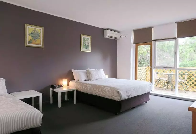 Standard-huone, The Lyndoch Motel