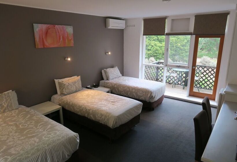 标准间, The Lyndoch Motel