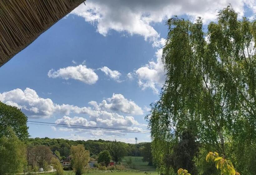 스탠다드 룸, Pension Petersen