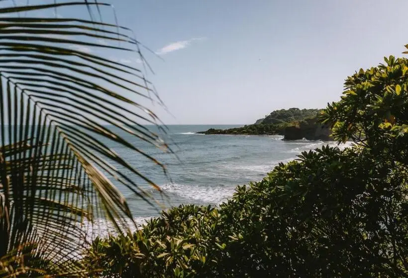 オーシャンビューデラックスルーム, Punta Mango Surf & Beachfront Resort