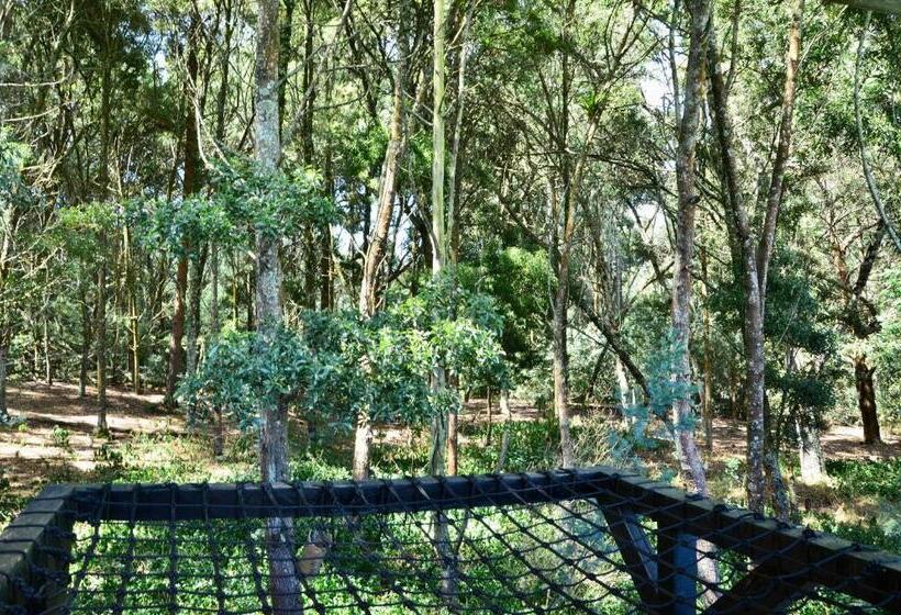 1 Szobás Villa, Castillo Casablanca