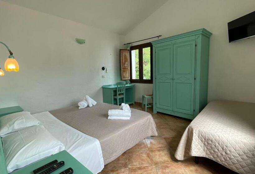 חדר סטנדרט, Cort'e Nastasj