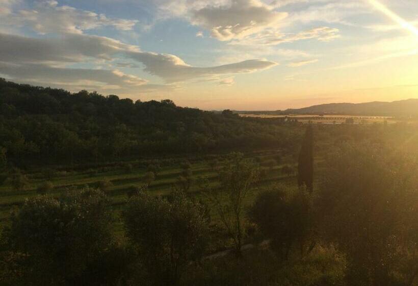 带景观的三人标准房间, Operaviva