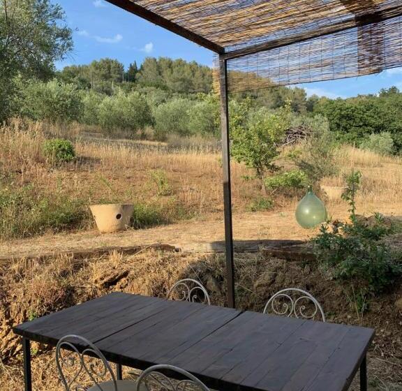 家庭套房, Operaviva