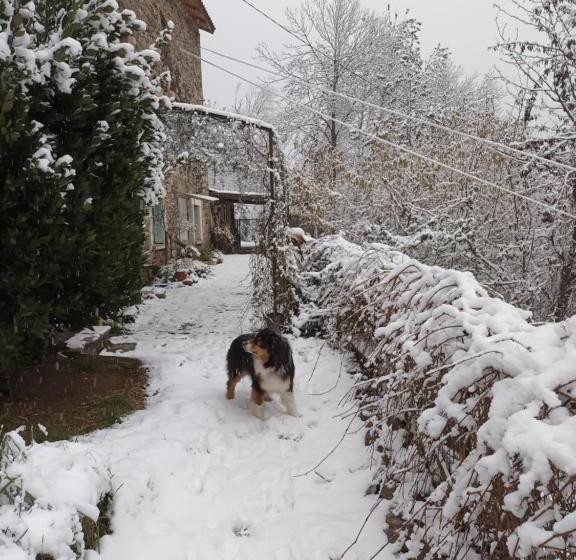 Standardrum Bergsutsikt, L'embellie