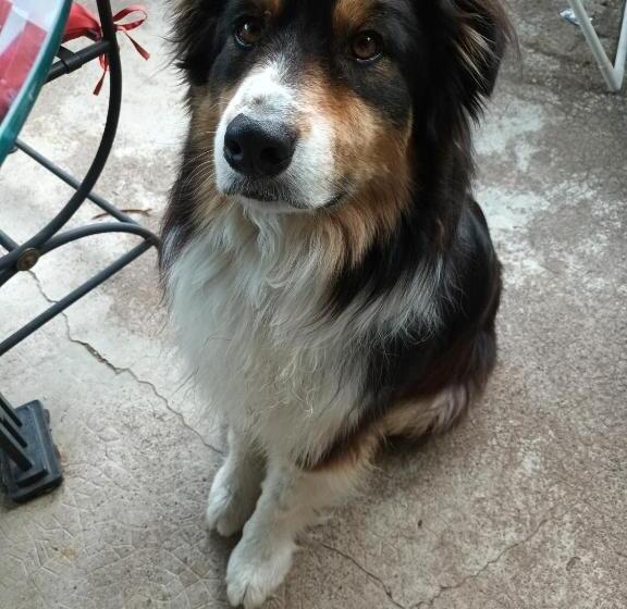 Standardrum Bergsutsikt, L'embellie