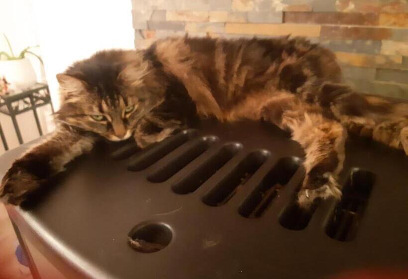 Standardrum Bergsutsikt, L'embellie