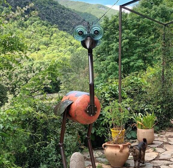 Standardrum Bergsutsikt, L'embellie