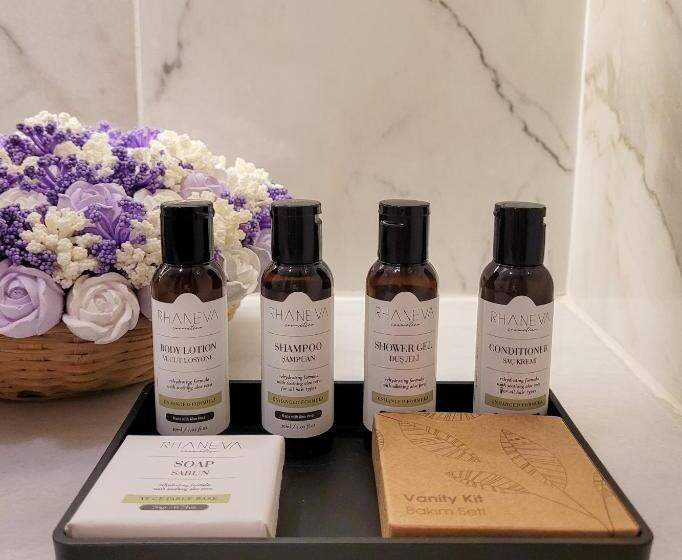 اتاق استاندارد با چشم‌انداز استخر, Dna Hotel Dalyan