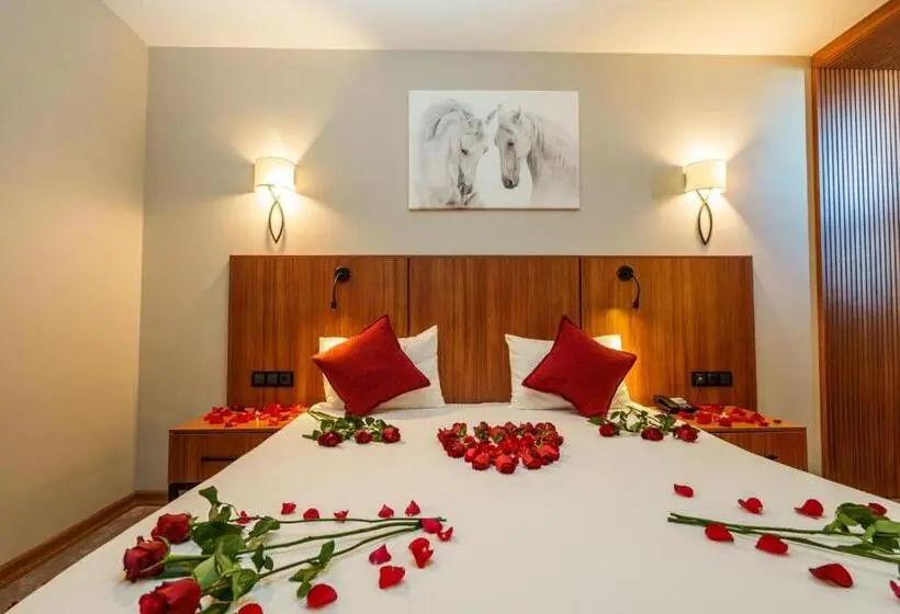 اتاق لوکس, Library Hotel Erciyes