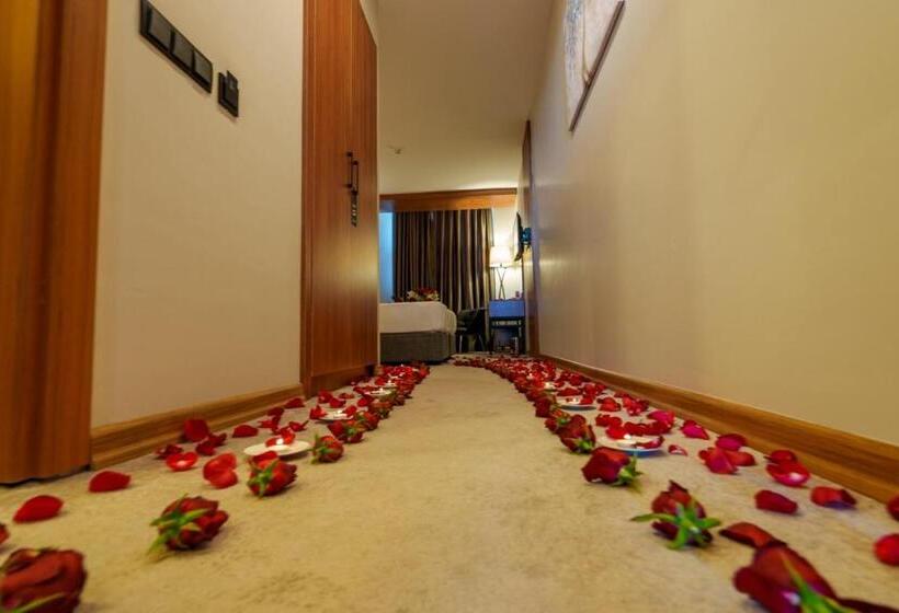 豪华房间, Library Hotel Erciyes