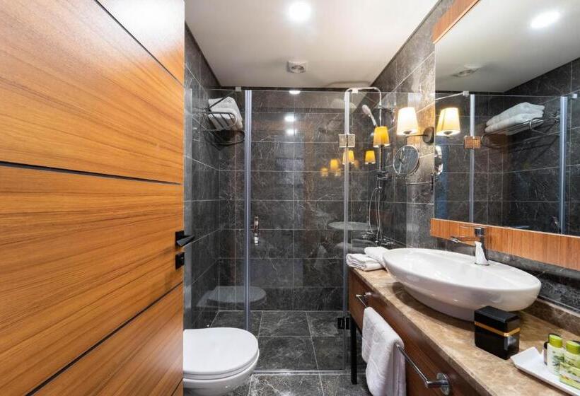 豪华房间, Library Hotel Erciyes