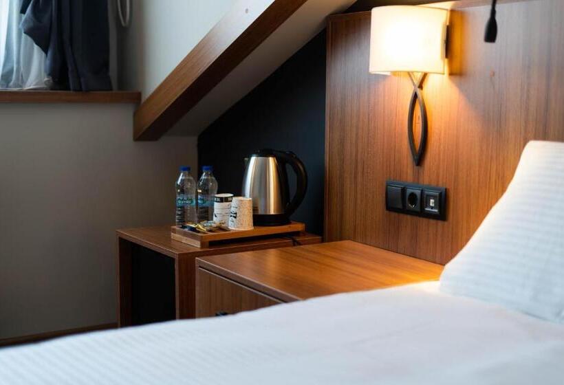 豪华房间, Library Hotel Erciyes