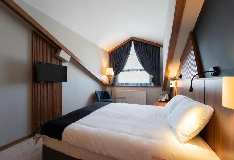 豪华房间, Library Hotel Erciyes