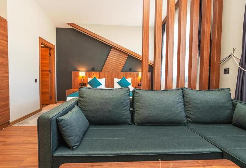 可观山景的小型套房, Library Hotel Erciyes