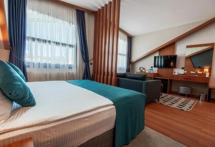 سوئیت جونیور با چشمانداز کوهستان, Library Hotel Erciyes