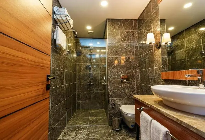 سوئیت جونیور با چشمانداز کوهستان, Library Hotel Erciyes