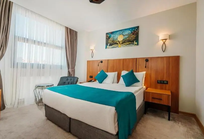 سوئیت جونیور با چشمانداز کوهستان, Library Hotel Erciyes