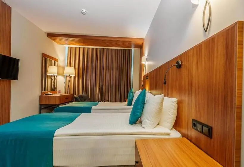 اتاق خانوادگی با چشمانداز کوه, Library Hotel Erciyes