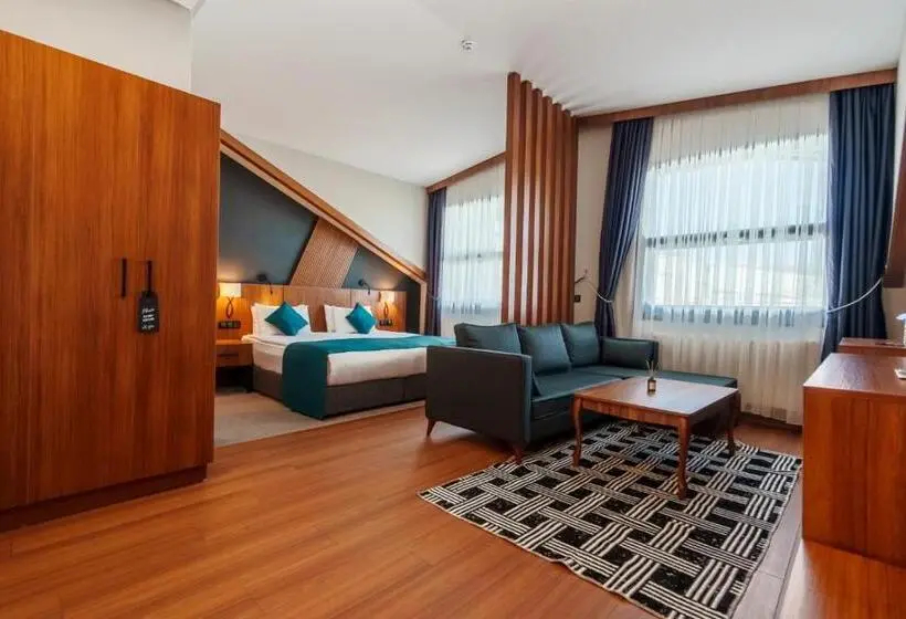 اتاق خانوادگی با چشمانداز کوه, Library Hotel Erciyes