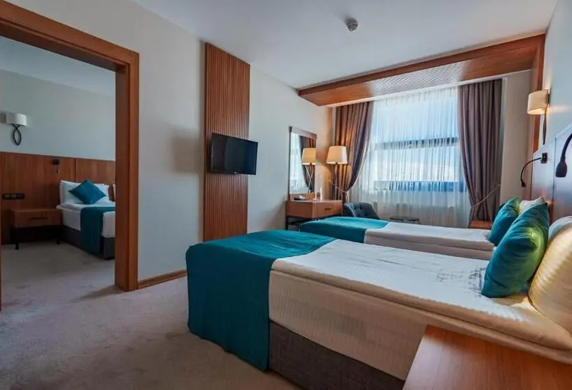 اتاق خانوادگی با چشمانداز کوه, Library Hotel Erciyes