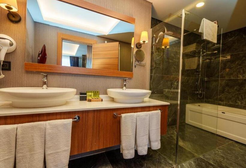 带大床的套房, Library Hotel Erciyes