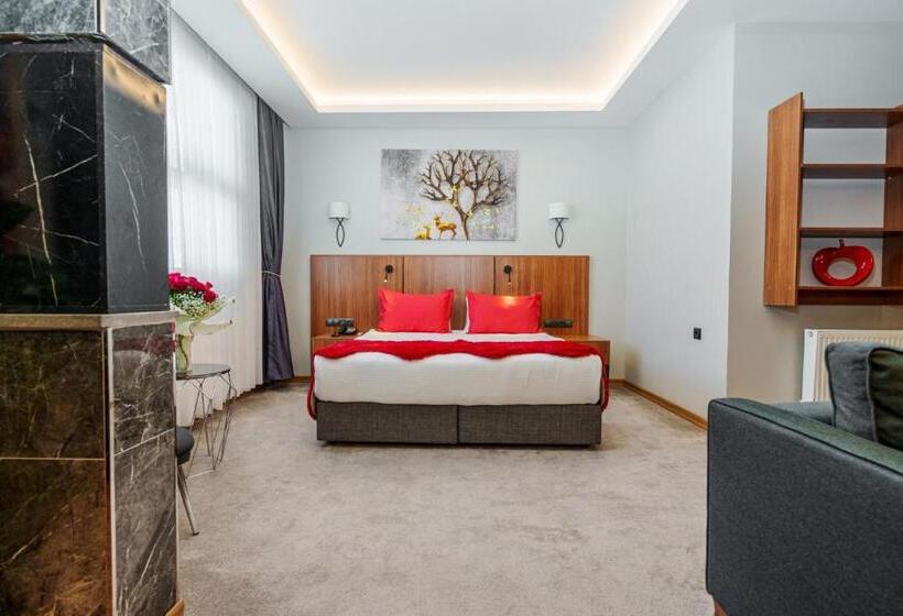 带大床的套房, Library Hotel Erciyes