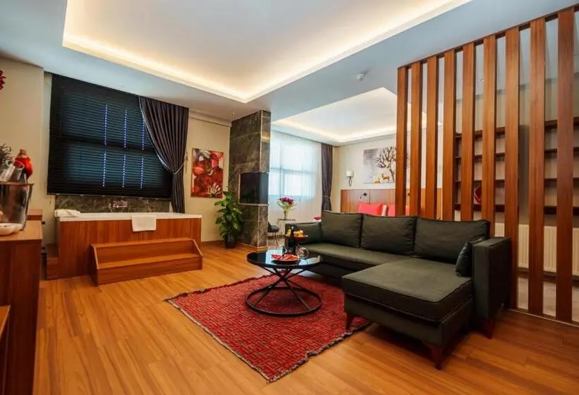 سوئیت با تخت بزرگ, Library Hotel Erciyes