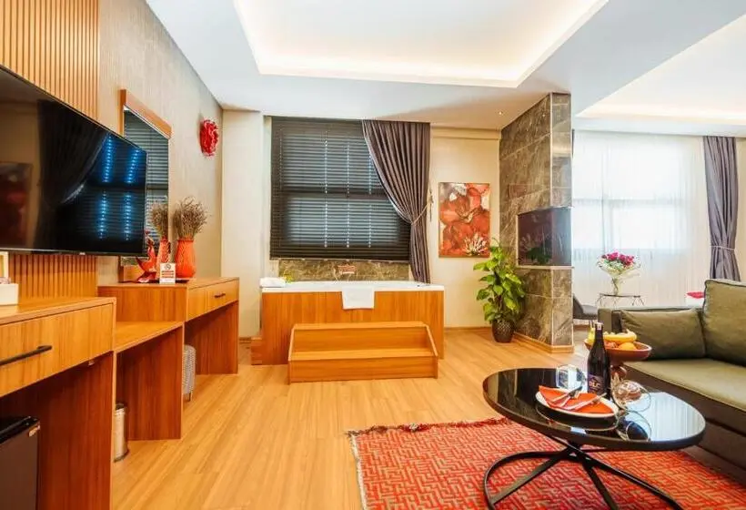 سوئیت با تخت بزرگ, Library Hotel Erciyes