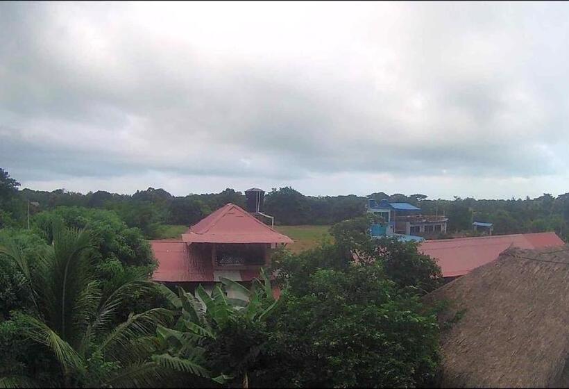 اتاق استاندارد سه نفره, Casa Palum Prívate Room Prívate Bathroom