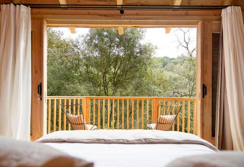 Люкс, Nits De Bosc