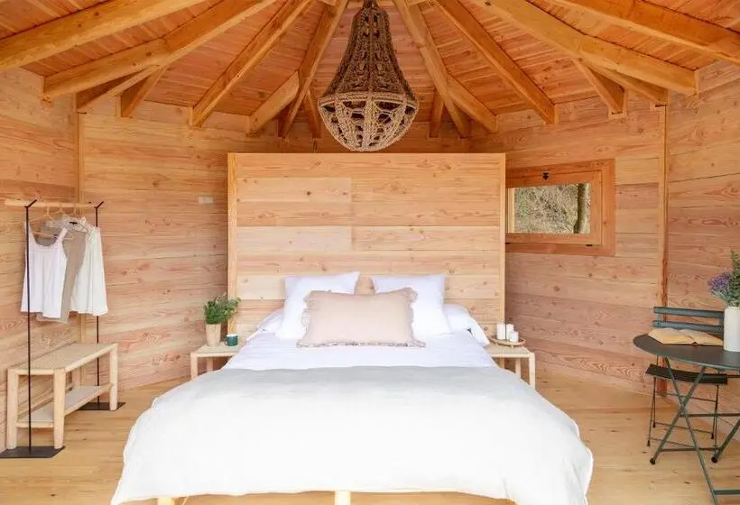 スイート, Nits De Bosc