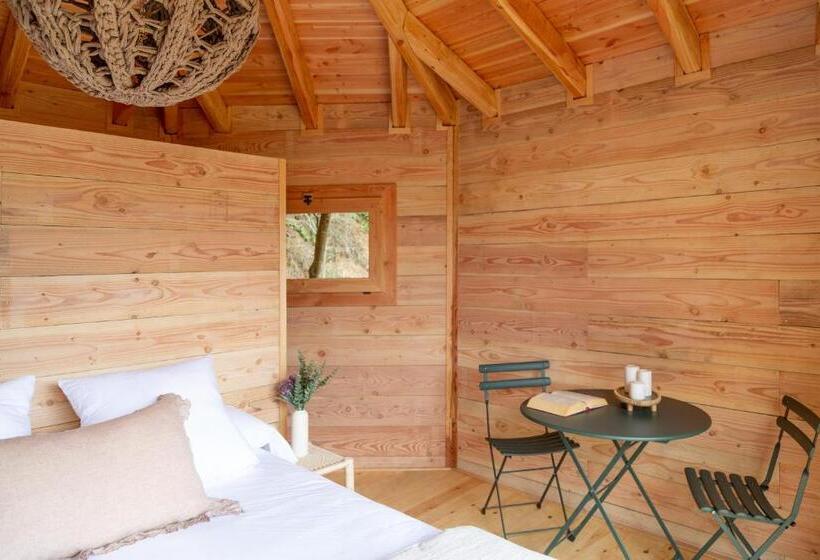 Люкс, Nits De Bosc