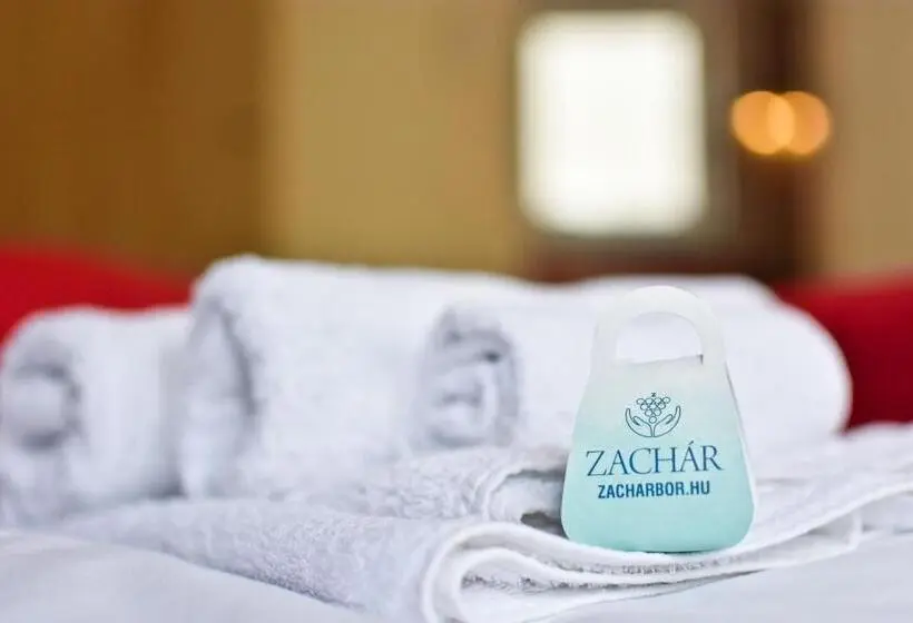 スタンダードスタジオ, Zachár Apartman