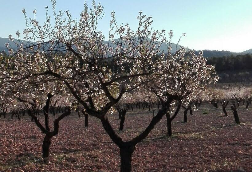 سوییت لوکس, Casa Pedro Barrera
