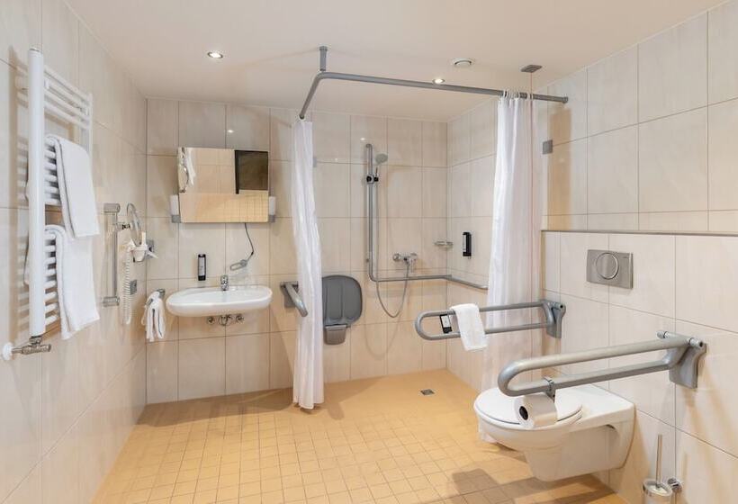 اتاق استاندارد, Intercityhotel Berlin Airport Area North