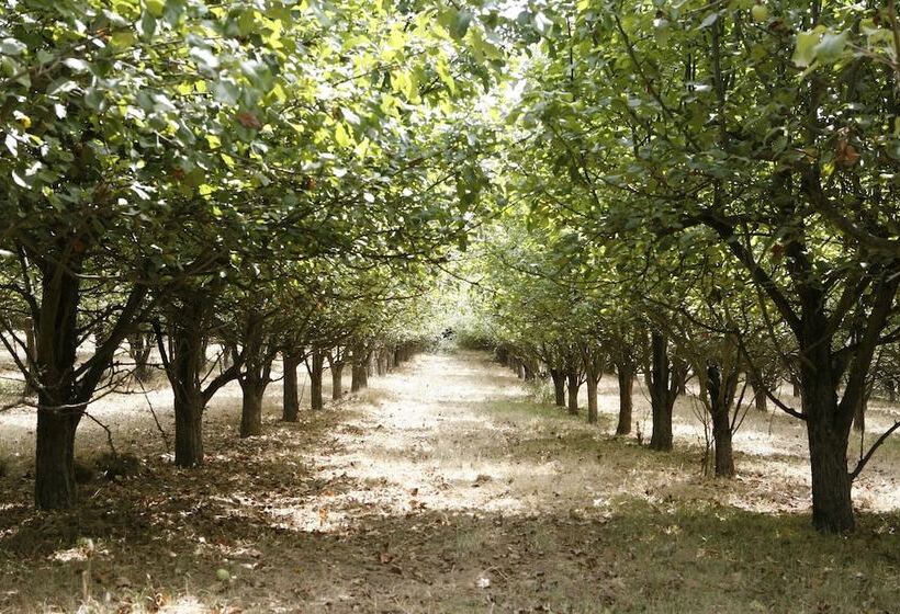 غرفة قياسية, Parador Casa da Insua