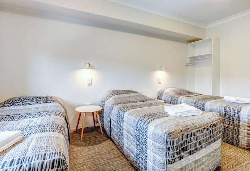 اتاق استاندارد سه نفره, Arena